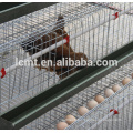 automated hot galvanized layer chicken cages